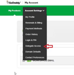 Deligating-Account-Access-on-Godaddy